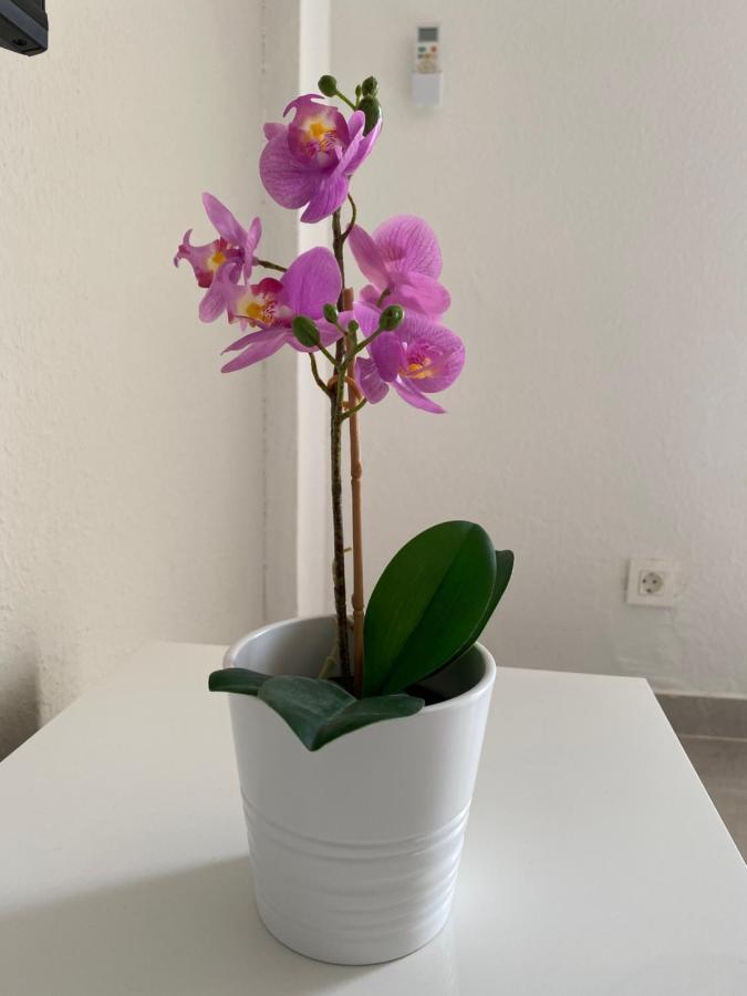 Apartamento Tiaibin Appartement Costa De Antigua Buitenkant foto